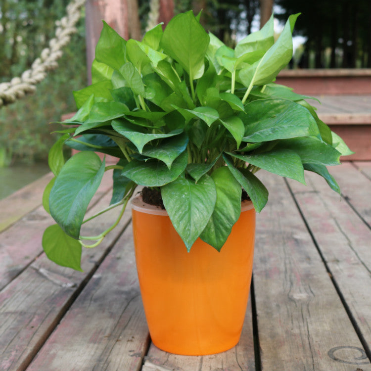 Nordic Flower Pot