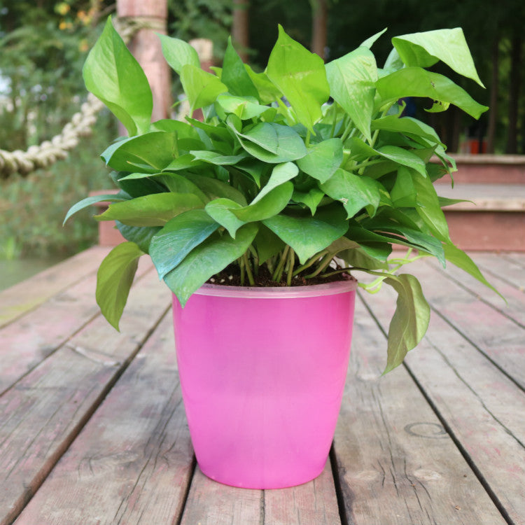 Nordic Flower Pot