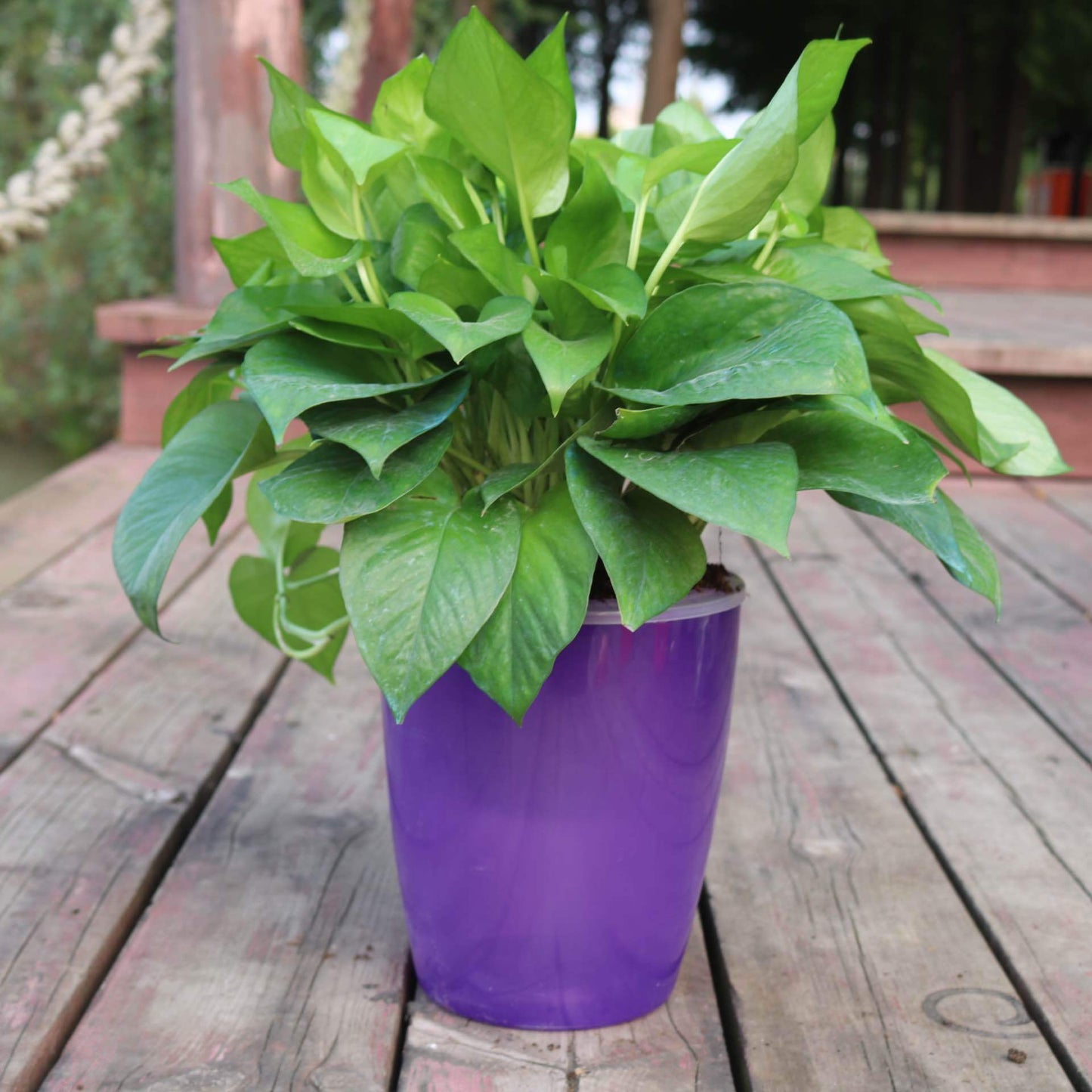 Nordic Flower Pot