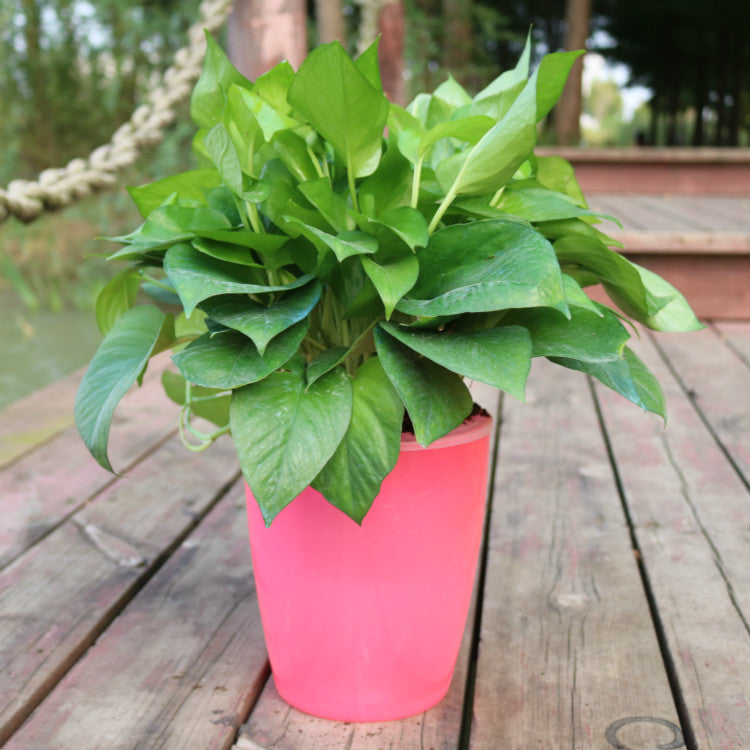 Nordic Flower Pot