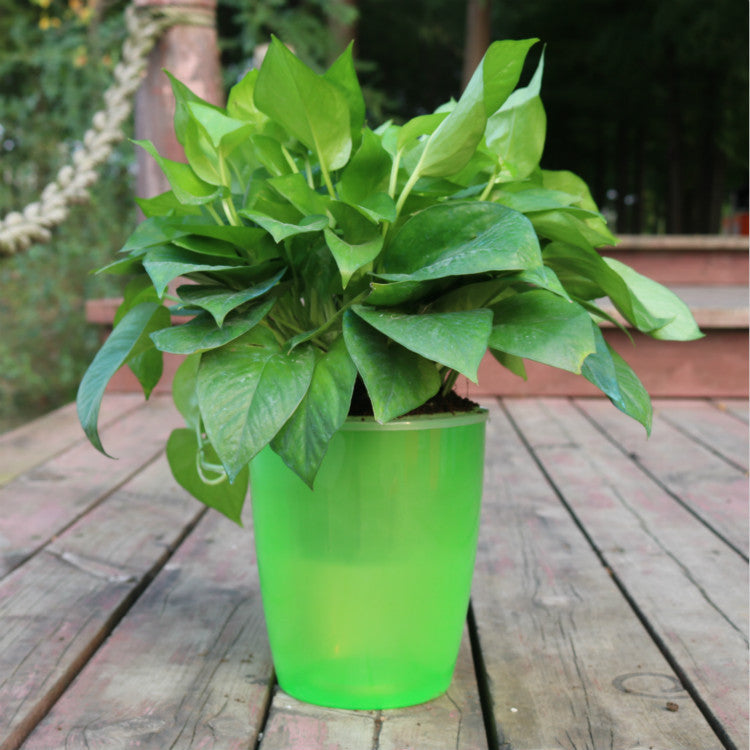 Nordic Flower Pot