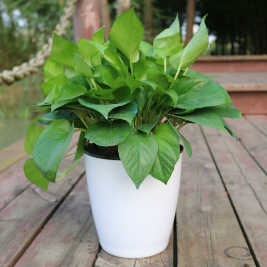 Nordic Flower Pot