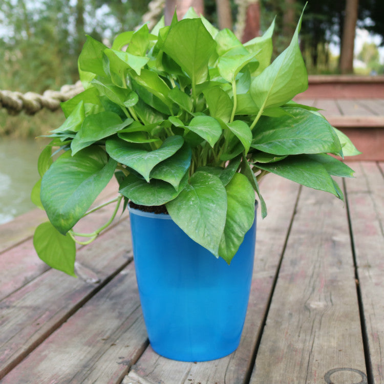 Nordic Flower Pot